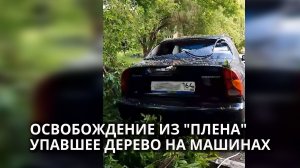 В Саратове жители повреждённых от непогоды машин не могут дождаться помощи от властей