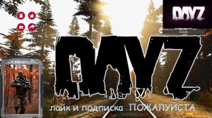 Dayzwill