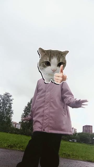 Когда каникулы