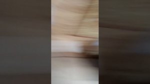 24 часа на подоконнике