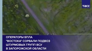 Операторы БПЛА «Востока» сорвали подвоз штурмовых групп ВСУ в Запорожской области