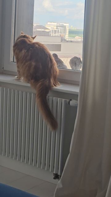 1000179090.mp4 смотреть онлайн