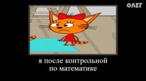 14 МИНУТ РЖАКИ ТРИ КОТА 😂 ПОПРОБУЙ НЕ ЗАСМЕЯТЬСЯ