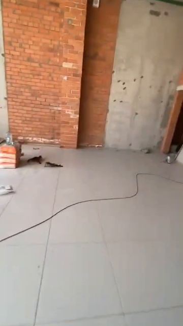 15715335473772 смотреть онлайн
