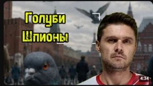 ГОЛУБИ ДРОНЫ-ШПИОНЫ ГДЕ ИХ Птенцы