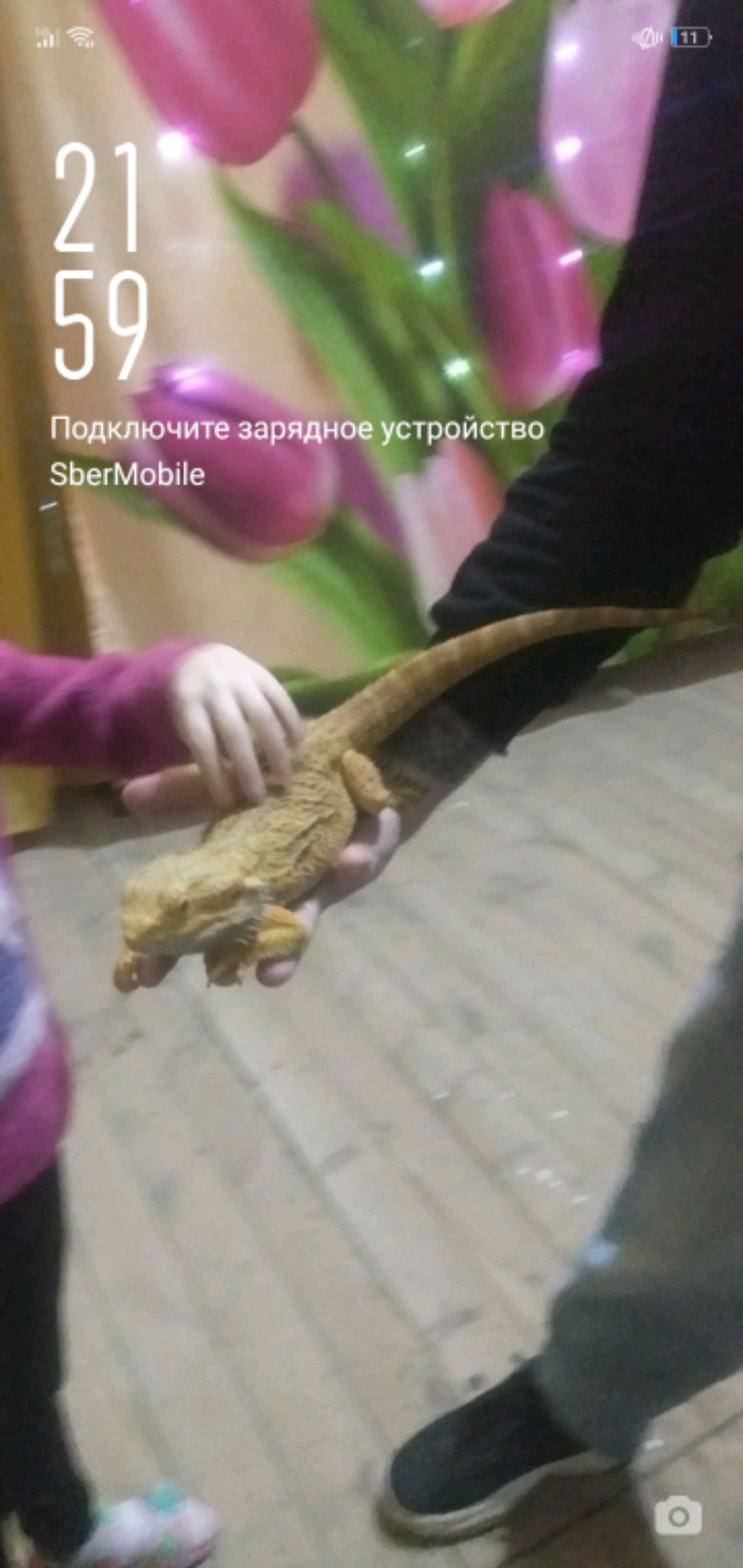 маша смотреть онлайн
