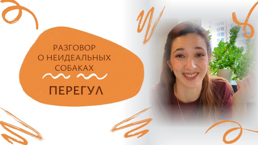 ЧТО ТАКОЕ ПЕРЕГУЛ У СОБАК? Разговор о неИдеальных собаках | блог зоопсихолога