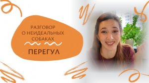 ЧТО ТАКОЕ ПЕРЕГУЛ У СОБАК? Разговор о неИдеальных собаках | блог зоопсихолога
