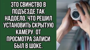 ИСТОРИИ ИЗ ЖИЗНИ|Это свинство в подъезде так надоело|РЕАЛЬНЫЕ ИСТОРИИ|ЖИЗНЕННЫЕ ИСТОРИИ