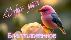 Благословенного доброго утра! Шикарная музыкальная открытка.