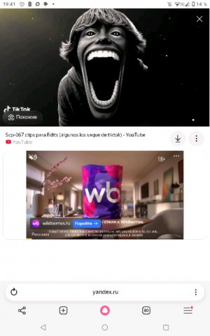 676767