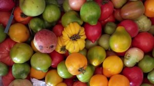 🥕🌶️🥒🫑🍅🌽🥔          С грядок за лето в глубинке Удмуртии