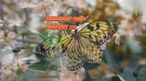 Он понял, что опоздал на всю жизнь.Притча.
