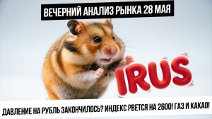 Вечерний анализ рынка 28 мая. Дикий рост газа! Рубль! Индекс и всепропальщики! Какао!