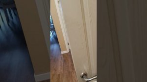 1000175254.mp4