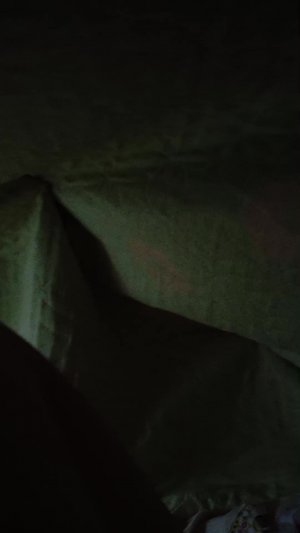 дом на подушке