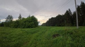 В поле 3