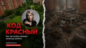 Жители Домодедово выступили против строительства торгового павильона посреди жилого двора