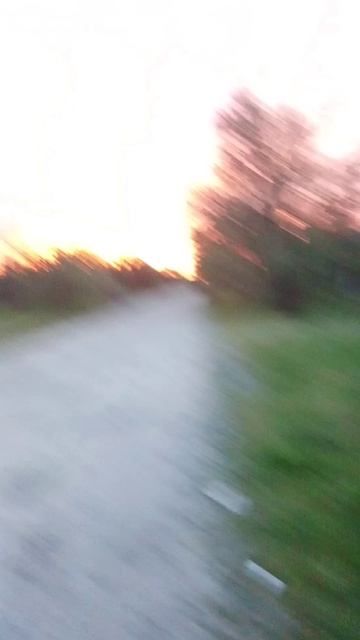 1000000437.mp4 смотреть онлайн