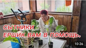 САМВЕЛ АДАМЯН, СЫТНИКИ, ЕРШИК ВАМ В ПОМОЩЬ..
