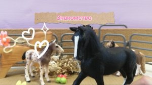 Знакомство🌷🐎
