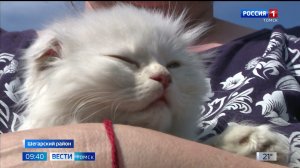 Вести-Томск, выпуск от 28.05.2026 09:30