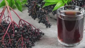Бузина чёрная. Дикоросы. Рецепты блюд.