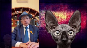 Ну где же еще отыскать человечка, который так мило покажет сердечко.../ Кот Костян