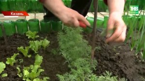 Июнь украли? В Татарстан пришел циклон с грозами и +4 градусами