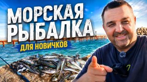 Морская рыбалка для новичков. Ставрида, карась, окунь. Просто возьми на море спиннинг и лови !