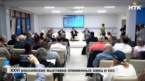 Производство шерсти в России обсудили в ходе круглого стола