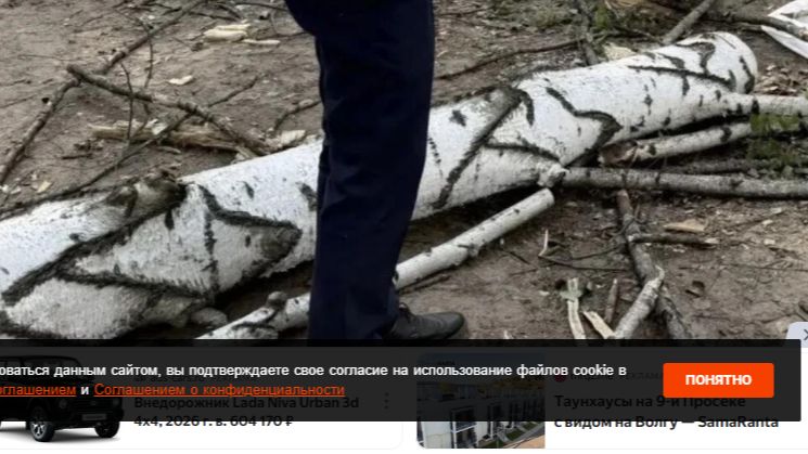 Упавшее дерево насмерть придавило школьницу в Прикамье смотреть онлайн