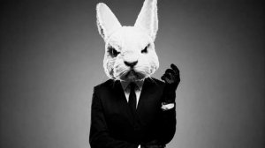 LEONIDAS - WHITE RABBIT