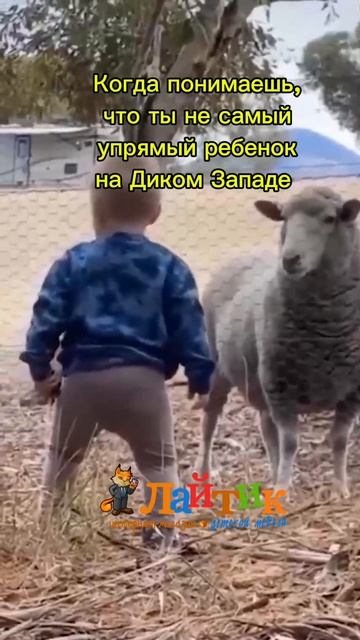 Упрямый и ещё упрямее