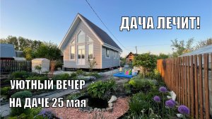 Дача, которая лечит 🏡 Наш теплый вечер за городом 25 мая 2026 год