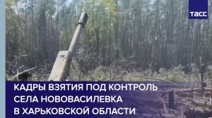 Кадры взятия под контроль села Нововасилевка в Харьковской области