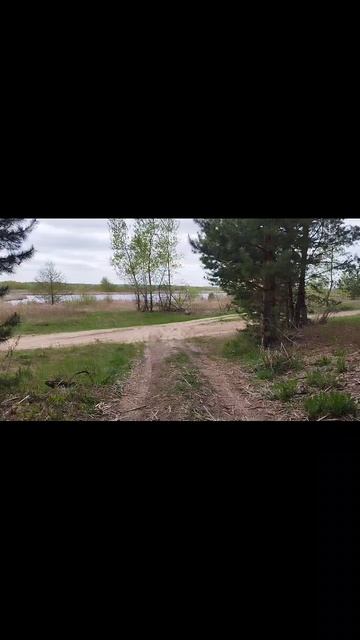 идущий к воде смотреть онлайн
