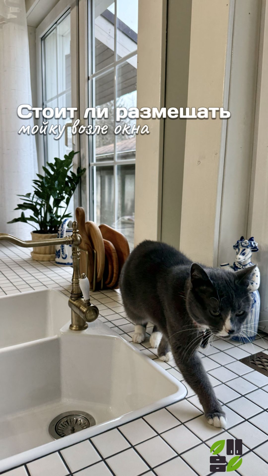 Мойка возле окна на кухне