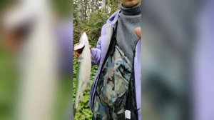 Сима на воблер 65 мм (7.9 гр) №86 от Mr.Musurok 🔥