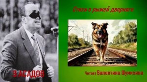 Э.Асадов «Стихи о рыжей дворняге». Читает Валентина Шумихина.