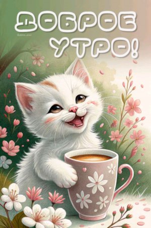 гонартроз коленных суставов