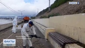 Более 440 человек продолжают ликвидировать последствия разлива мазута в Туапсе