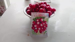 Редис.Сорт «Розово-красный с белым кончиком».Дом семян/Урожай 2026/Простая жизнь в провинции/