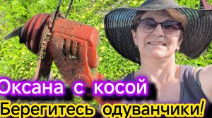 Триммер садовый с аккумулятором. Одуванчикам хана💪👍