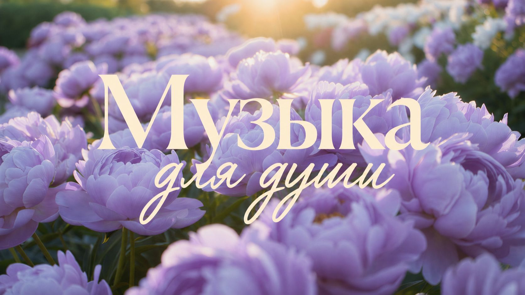 ✧ Красивая расслабляющая фоновая музыка для учебы, работы, чтения, йоги и медитаций