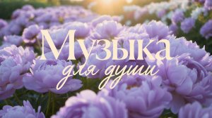 ✧ Красивая расслабляющая фоновая музыка для учебы, работы, чтения, йоги и медитаций