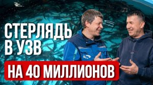 5 МИЛЛИОНОВ прибыли в месяц на СТЕРЛЯДИ. Как из старого склада сделать ПРИБЫЛЬНУЮ ферму с нуля?