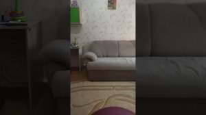 разоблачение на демавидео 3 и на Богдан и всё ролике
(это было раньше) потом сейчас