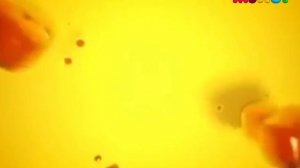 Уход На Профилактику (Мульт; 19.05.2017) (Вариант №2)