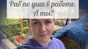 Наконец - то у Быковой появился дояр